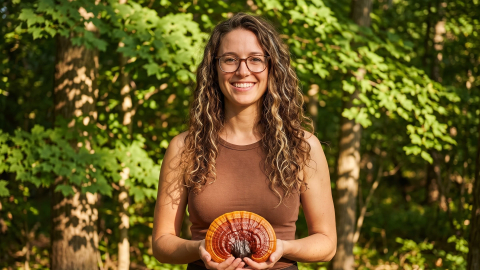 Fascinantna Reishi (Ganoderma lucidum)