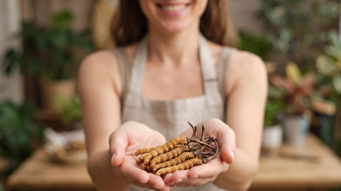 Cordyceps sinensis z neverjetnim življenjskim ciklom